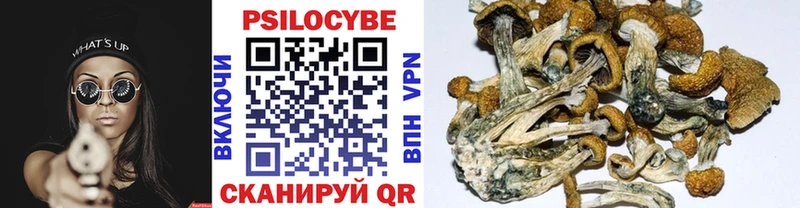 Псилоцибиновые грибы Psilocybine cubensis  МЕГА рабочий сайт  Петров Вал 