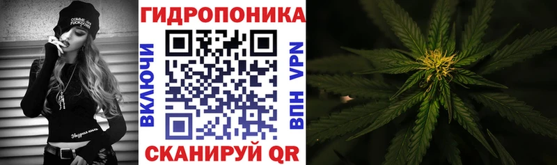 OMG ТОР  где купить наркотик  Петров Вал  Бошки марихуана OG Kush 